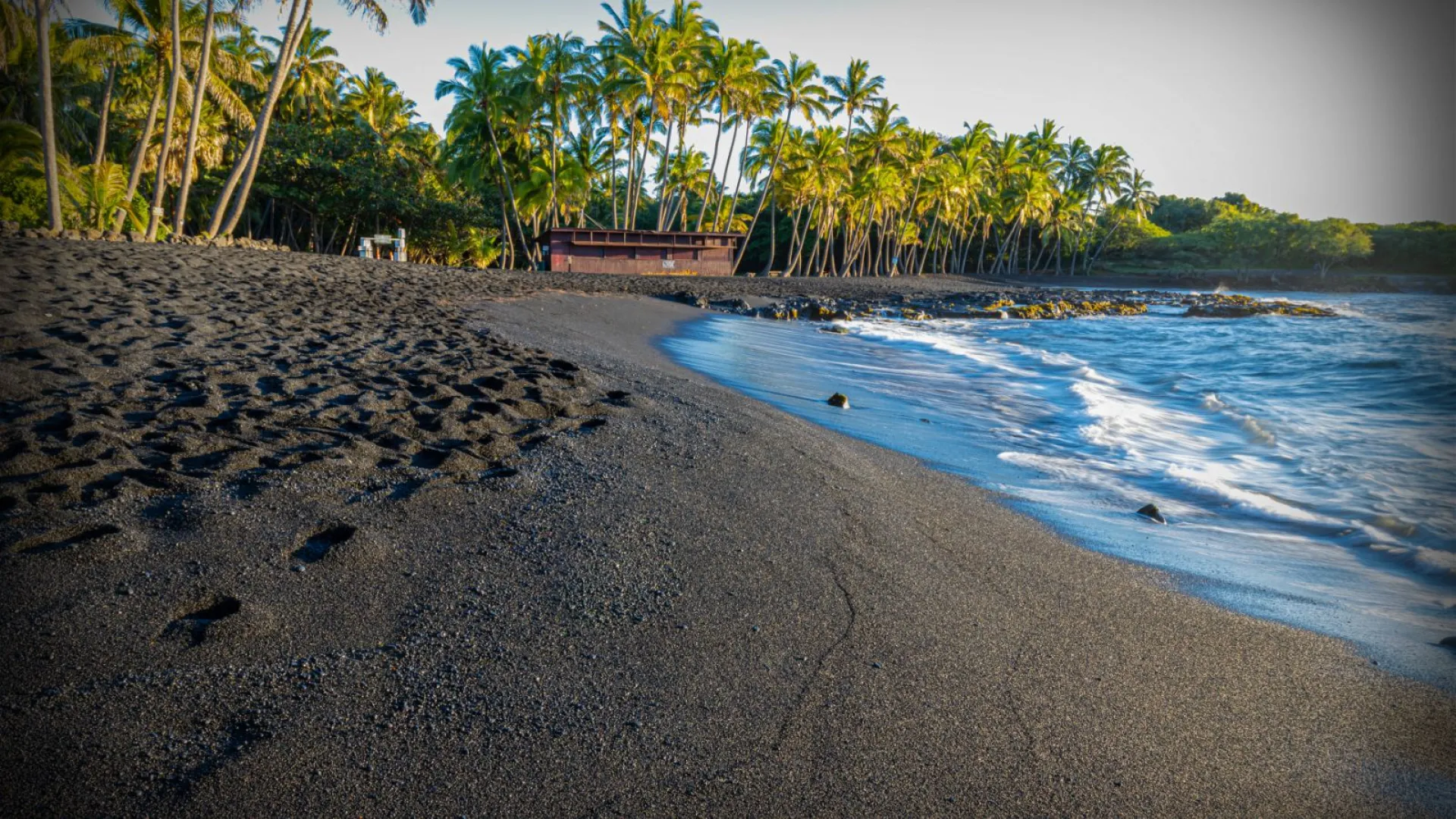 Black sand beach with palm trees and ocean waves.